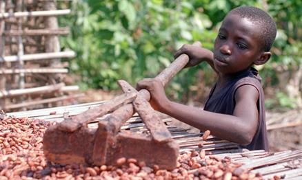 Child Cocoa Labor Marie Cicccone