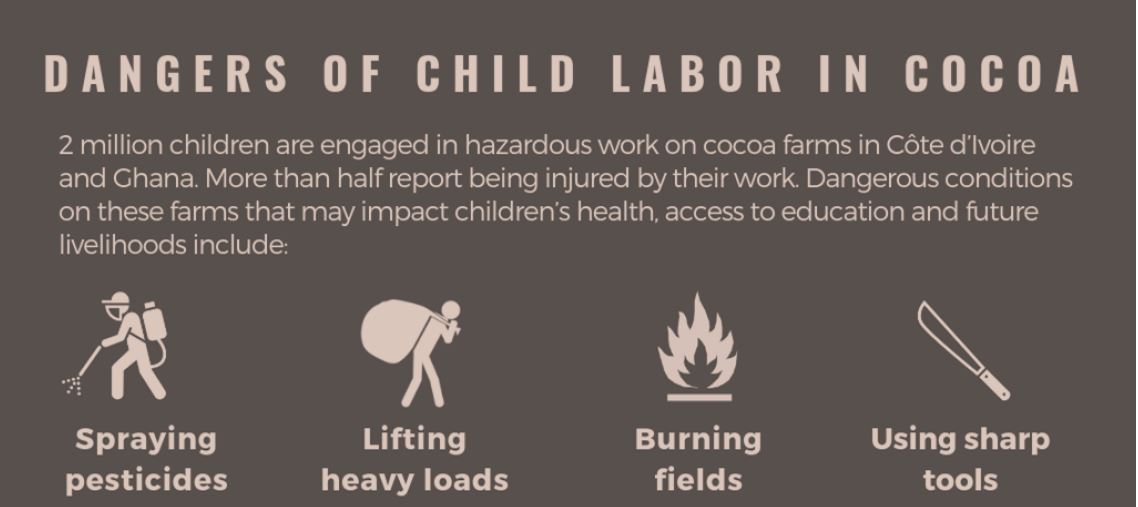 Dangers of Child Labor in Cocoa