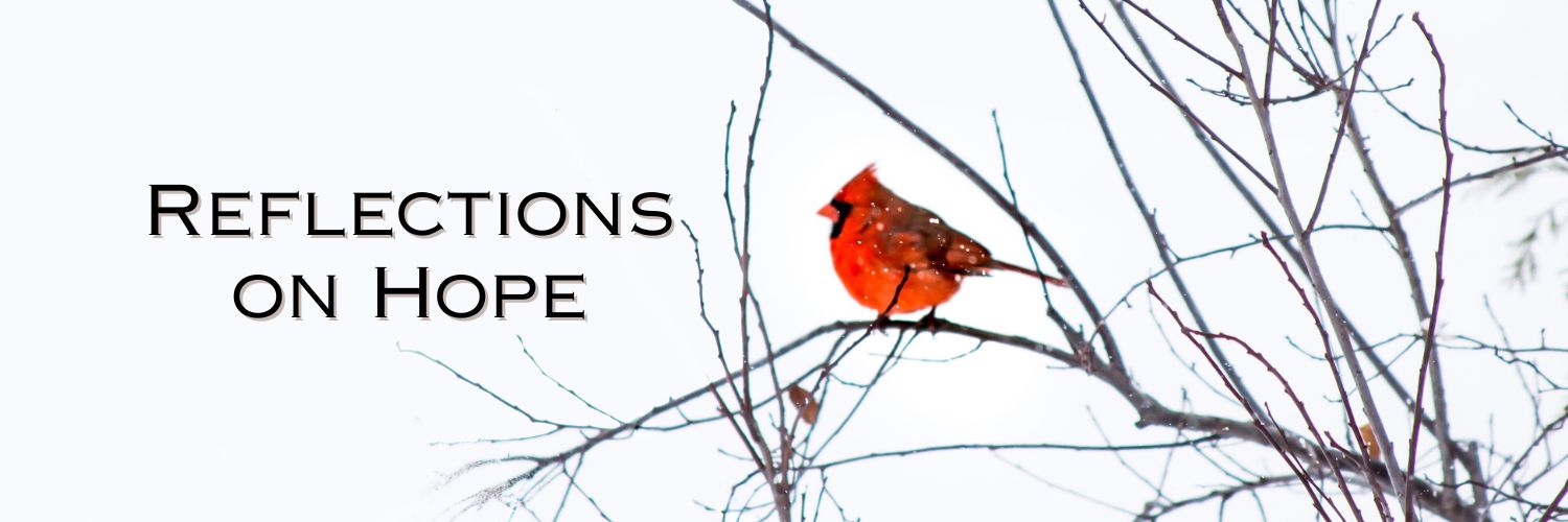 Image banner for reflections on hope cardinal in a tree in snow