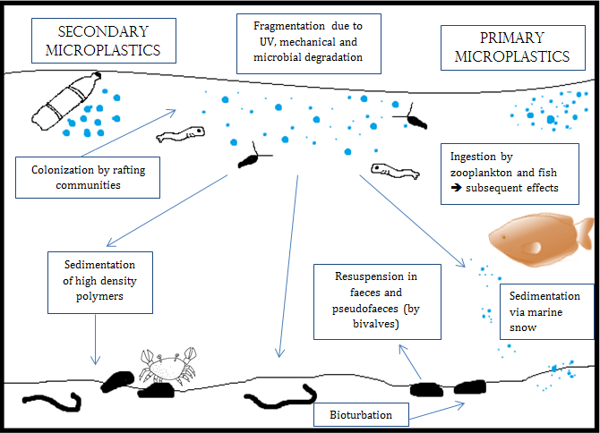 Microplastics