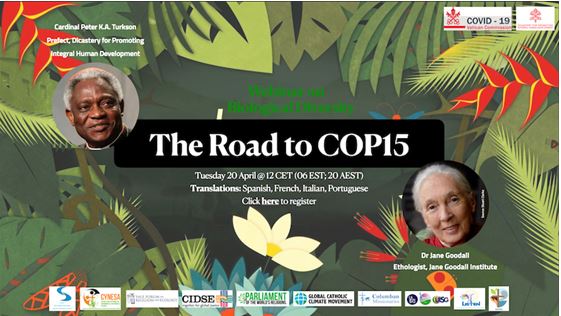 Road to COP15