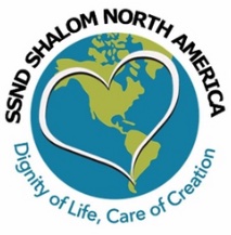 Shalom NA logo