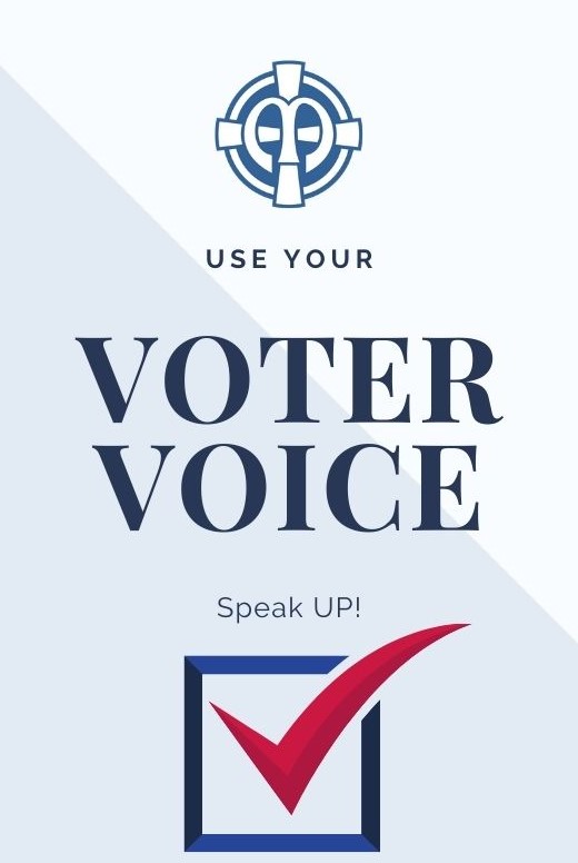 image voter voice