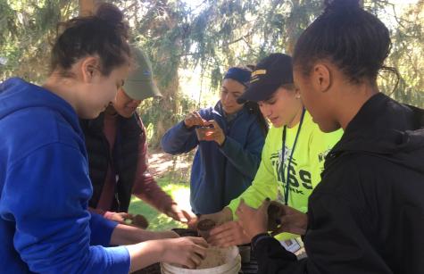 Students planting seeds at Lorimer Sanctuary
