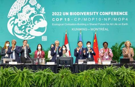 COP 15 Agreement Photo Credit Julian Haber UN Biodiveristy