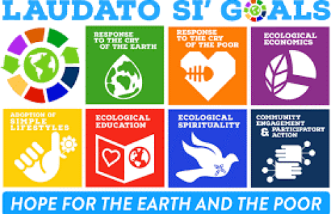 Laudato Si Goals