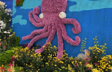 An octopus made of flowers floats alongside a school of fish Photo of an octopus made of flowers floats alongside a school of fish