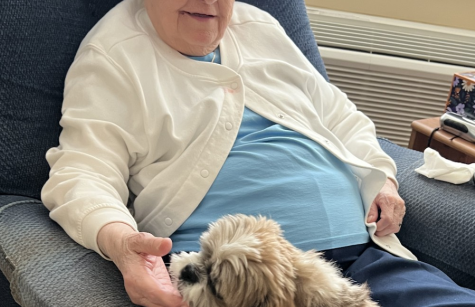 Sister Jeanne Landry PHoto of Sister Jeanne Landry