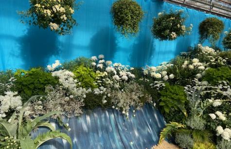 Under the Sea photo under the sea