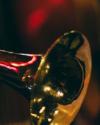 New Orleans Jazz Trumpet